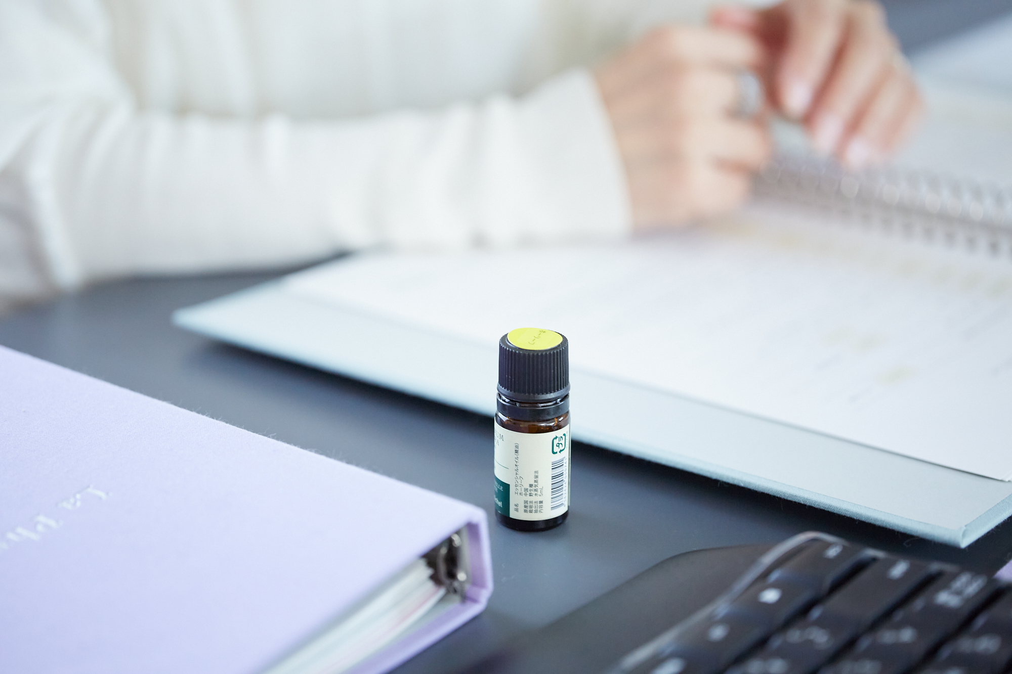 スクール事業 株式会社サンルイ・インターナッショナル